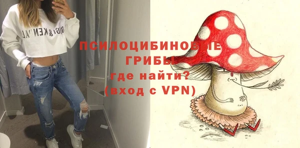 не бодяженный Белокуриха