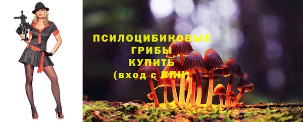 не бодяженный Белокуриха