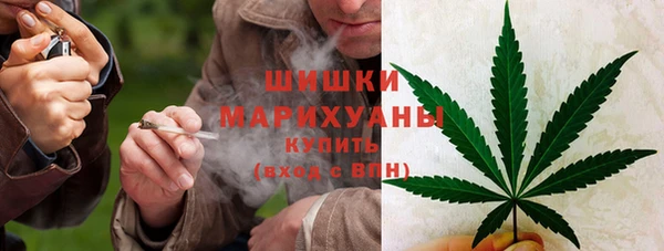 прущие грибы Беломорск