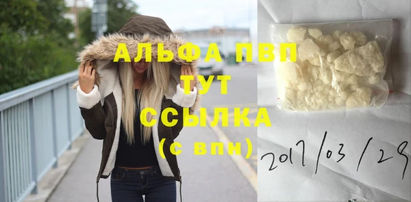 прущие грибы Беломорск