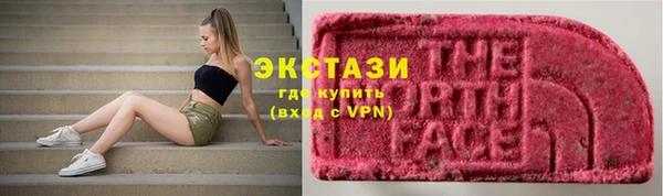 прущие грибы Беломорск