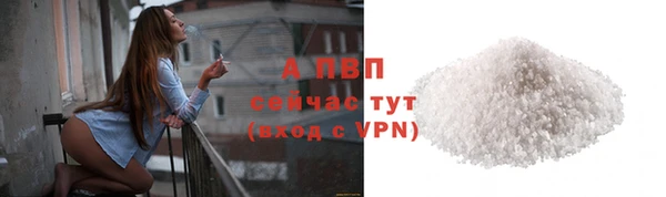 прущие грибы Беломорск