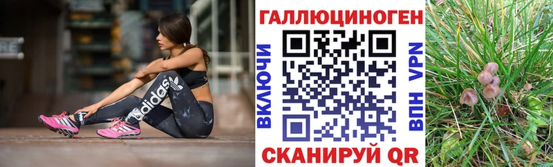 Псилоцибиновые грибы Cubensis  OMG маркетплейс  Боготол 